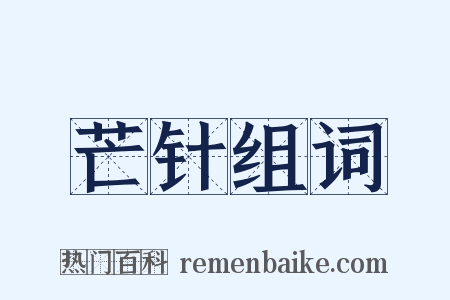 芒针组词是什么意思的图片